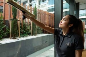 melbourne window cleaner melbourne window cleaner