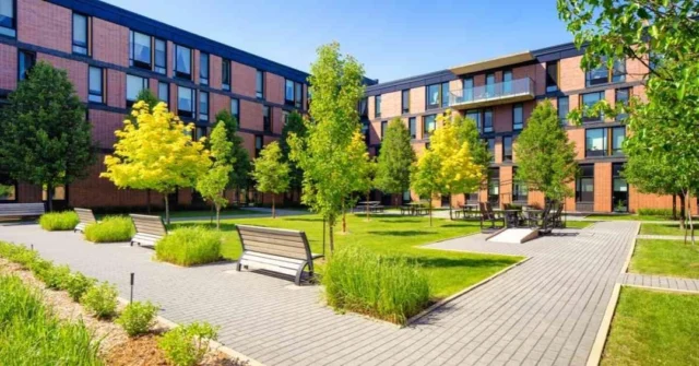 Maintaining a garden in an apartment complex can enhance the aesthetic appeal of the property but also fosters community spirit. Here are some ins and outs to consider🪴🍂: 
1. Planning, Design and Plant Choice:
Determine sunlight exposure, what type of garden suits the space, accessibility and visual appeal. Select plants that thrive in the local climate, Incorporate a mix of ornamental and edible plants that are drought-tolerant or low-maintenance.
2. Soil, Fertilization and Watering:
Use good quality potting mix or garden soil suitable for the chosen plants and apply fertilisers  during the right seasons. Consider a drip irrigation system or self-watering pots to reduce maintenance. 
3. Maintenance:
Set a schedule for checking soil moisture and watering, especially during hot months. Regularly prune plants and remove weeds to promote healthy growth and maintain appearance. Monitor for pests and diseases. Use organic pest control methods when possible to avoid harming beneficial insects. 
.
.
.
 #AustraliaCleaningExperts #TrustworthyService #ParagonPropertyServices #StrataManagement #PropertyTransformation #ReliableMaintenance #ProfessionalService #LandscapeMaintenance #EnvironmentEnhancement #GroundsCare #ResidentialEstates #RetailMaintenance #MelbourneLandscaping #ExpertCleaning #FamilyBusiness #CommercialPropertyServices