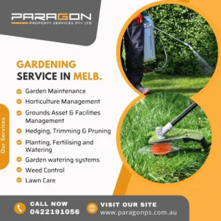 🌿 Transform Your Outdoors with Paragon Property Services!🌿

Looking for reliable gardening services in Melbourne? Look no further! 🌻 Whether it's regular garden maintenance, landscape design, or a complete outdoor makeover, we’ve got you covered! 🛠️✨

✅ Expert gardeners with a passion for plants
✅ Tailored services to suit your needs and budget
✅ High-quality, eco-friendly solutions
✅ Serving Melbourne's homes and businesses

📞 Call us today at 0422191056 to schedule your consultation and get your garden looking its best!

For more info, visit our website: https://paragonps.com.au/gardening-services/

#Gardening #gardeningservices #gardeningcleaning  #MelbourneCleaning #ParagonPropertyServices #ProfessionalCleaning #MelbourneLiving #DeepClean #CleaningExperts #CleanSpaces #CleaningSolutions #cleaningservices #CleaningServiceAustralia #CorporateCleaning