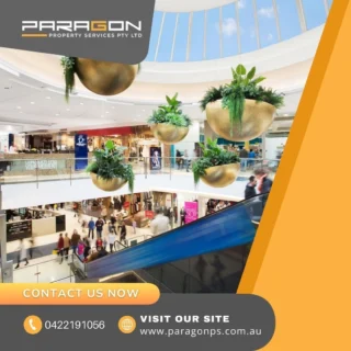 Superior Strata Specialists in Cleaning and Gardening 42 ✨ Keep your Cheltenham business shining bright with Paragon’s expert commercial cleaning services! From offices to retail spaces, we provide top-quality cleaning tailored to your needs. Trust the local specialists to create a spotless environment for your team and customers. 🧼🌟
.
.
.
#CheltenhamCleaning #ParagonClean #CommercialCleaning